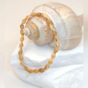 Seashell Bracelet 8 inches Handmade